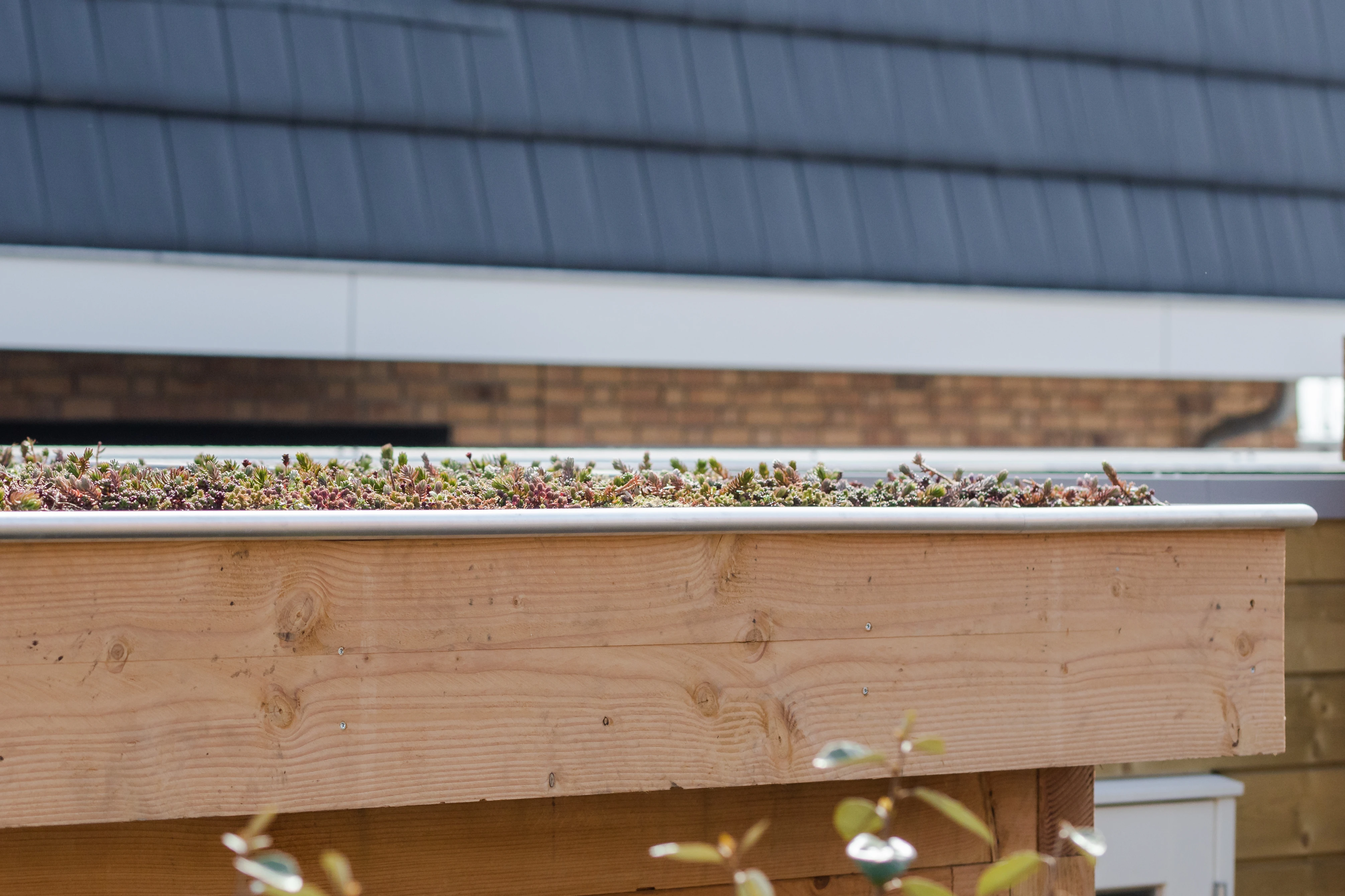 Douglas overkapping, 750 x 300, met schuur en achterwand, Westwood Comfort Green - Afbeelding 3